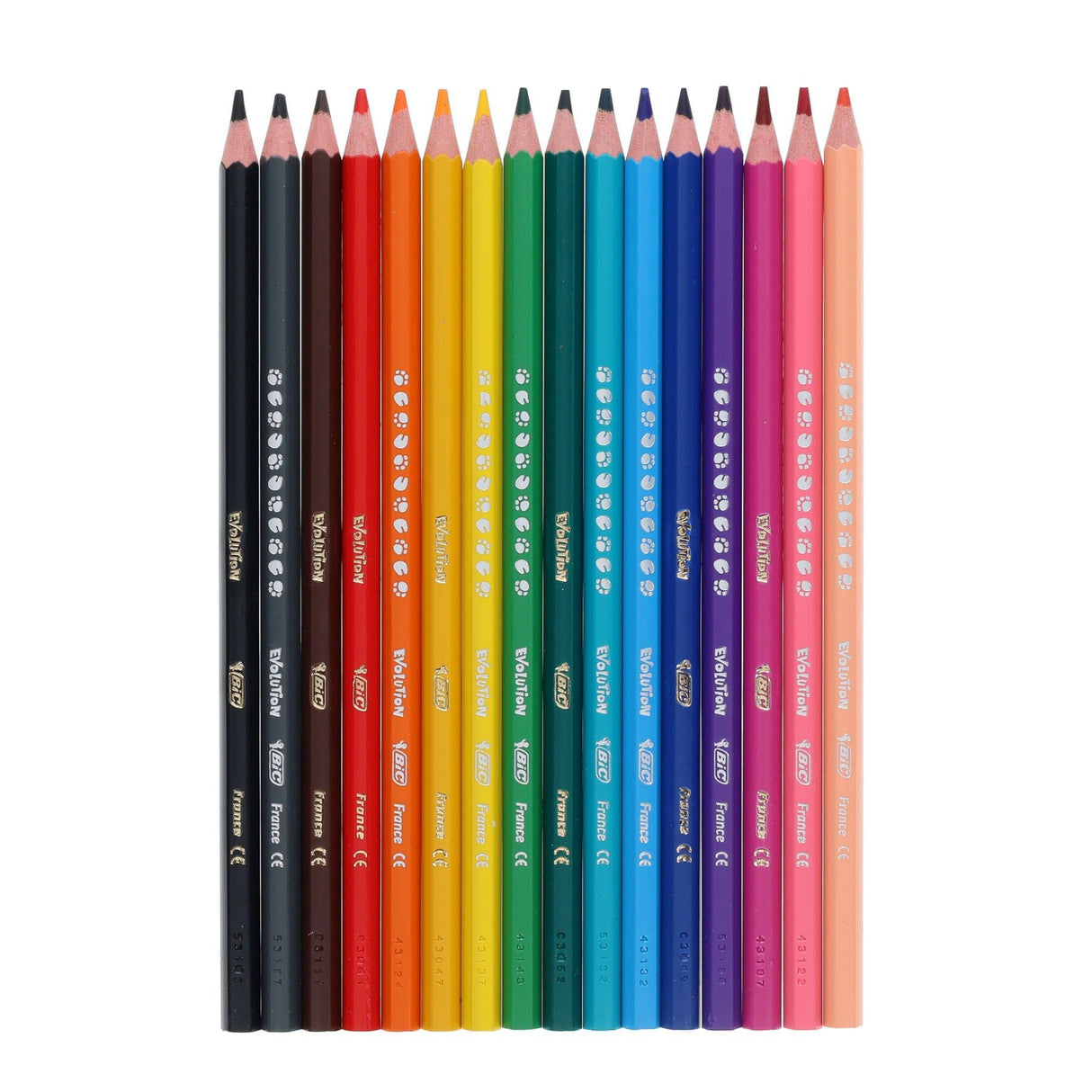 BIC Kids Evolution Colouring Pencils - Box of 288-Colouring Pencils- Buy Online at Stationery Shop UK