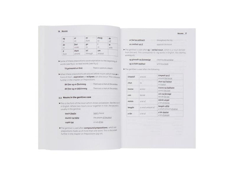 Collins Easy Learning Irish Grammar