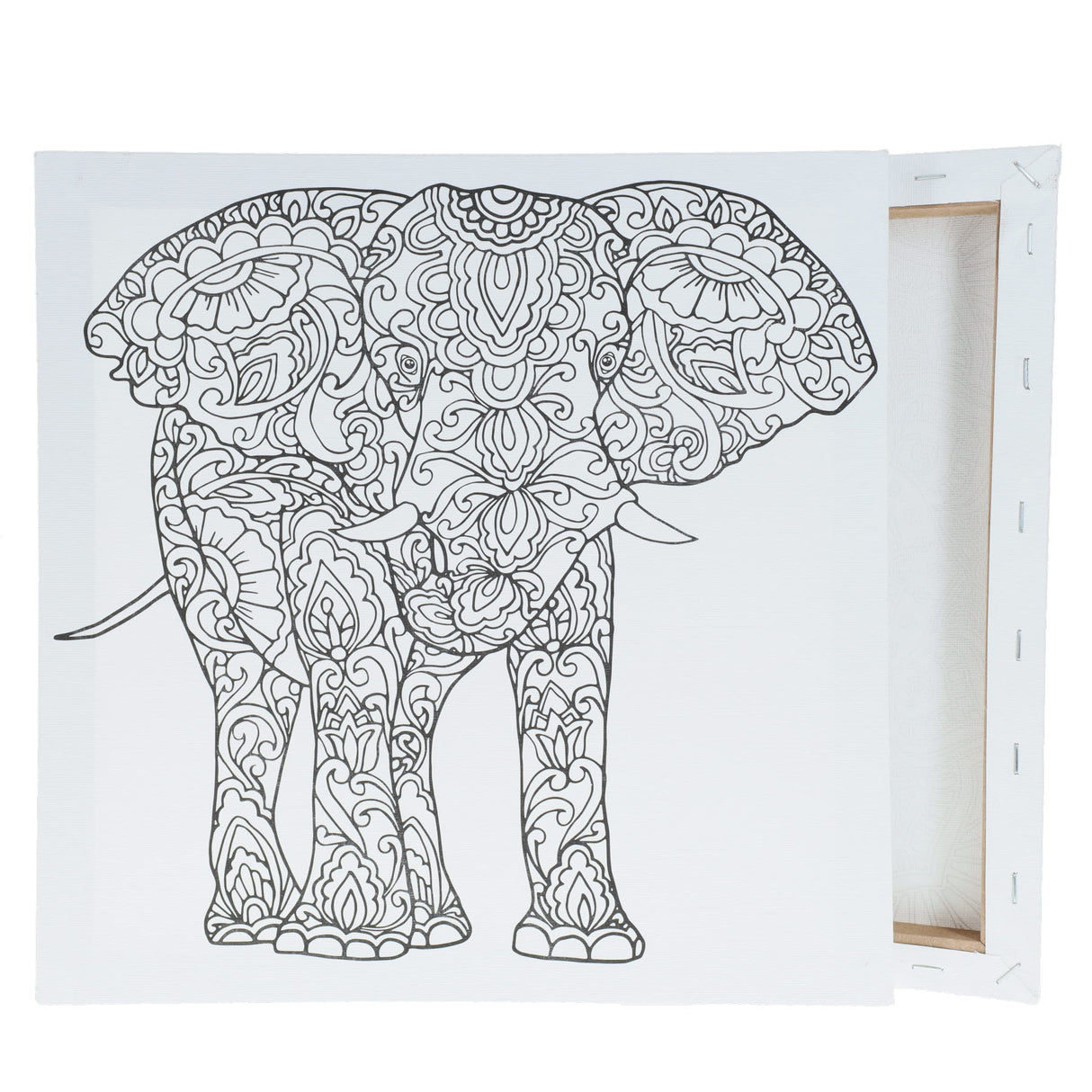 Icon Colour My Canvas - 300x300mm - Elephant