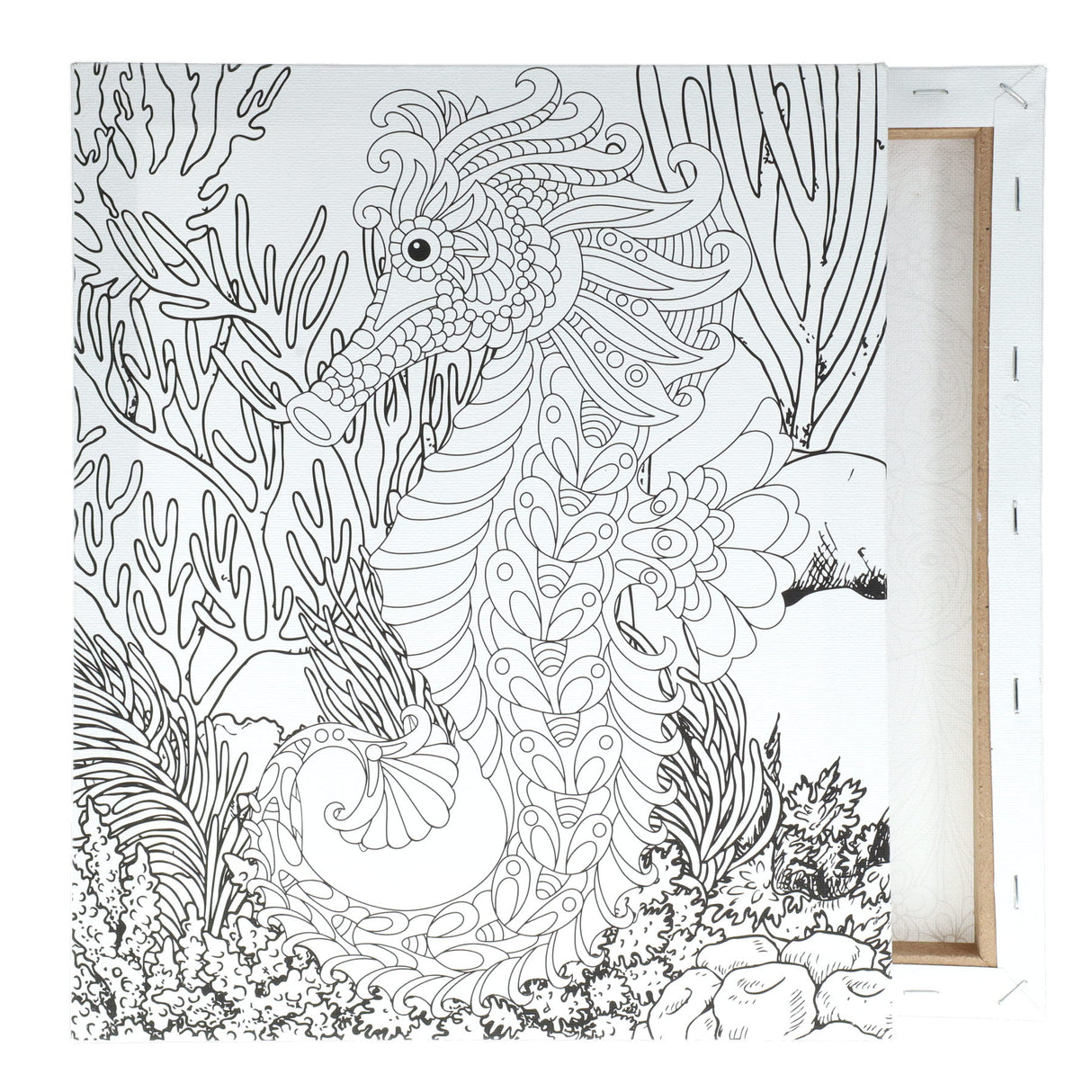 Icon Colour My Canvas - 250x300mm - Sea Horse