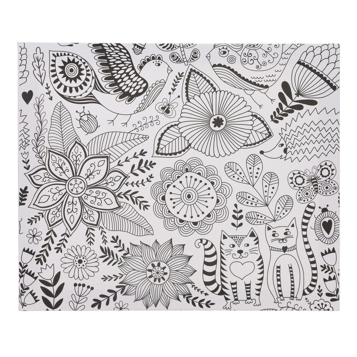 Icon Colour My Canvas - 300mm x 250mm - Playful Cats