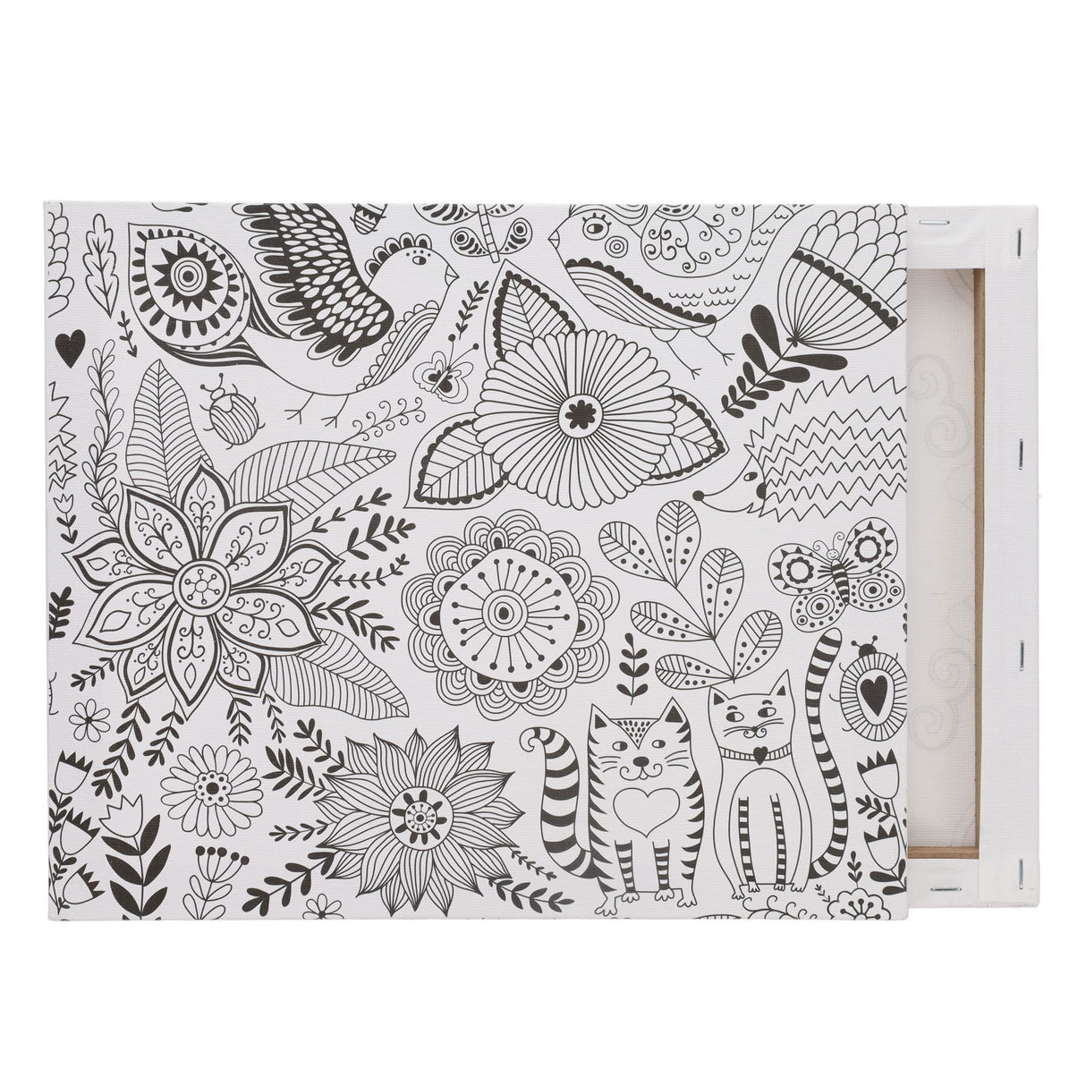 Icon Colour My Canvas - 300mm x 250mm - Playful Cats