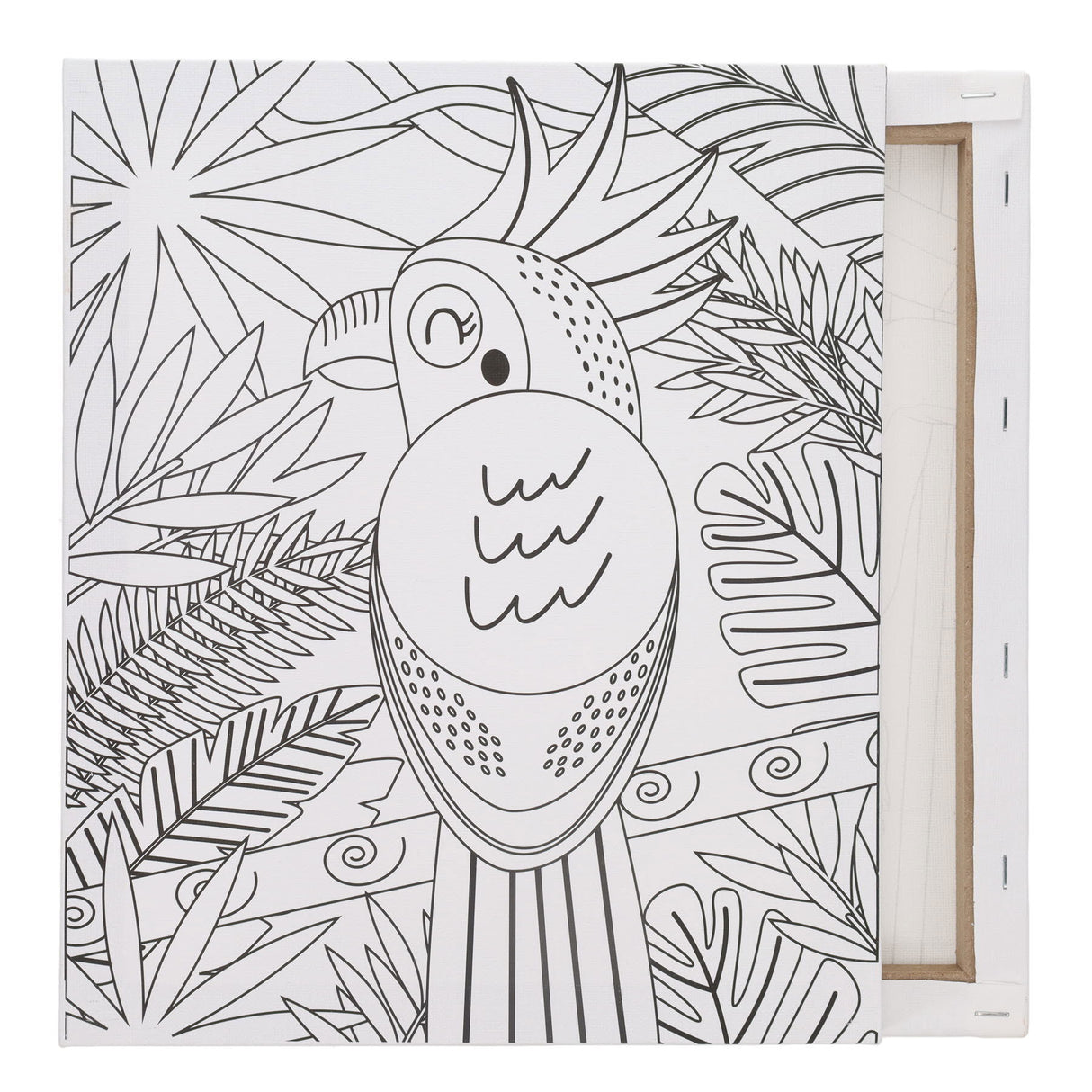 Icon Colour My Canvas - 250mm x 300mm - Parrot