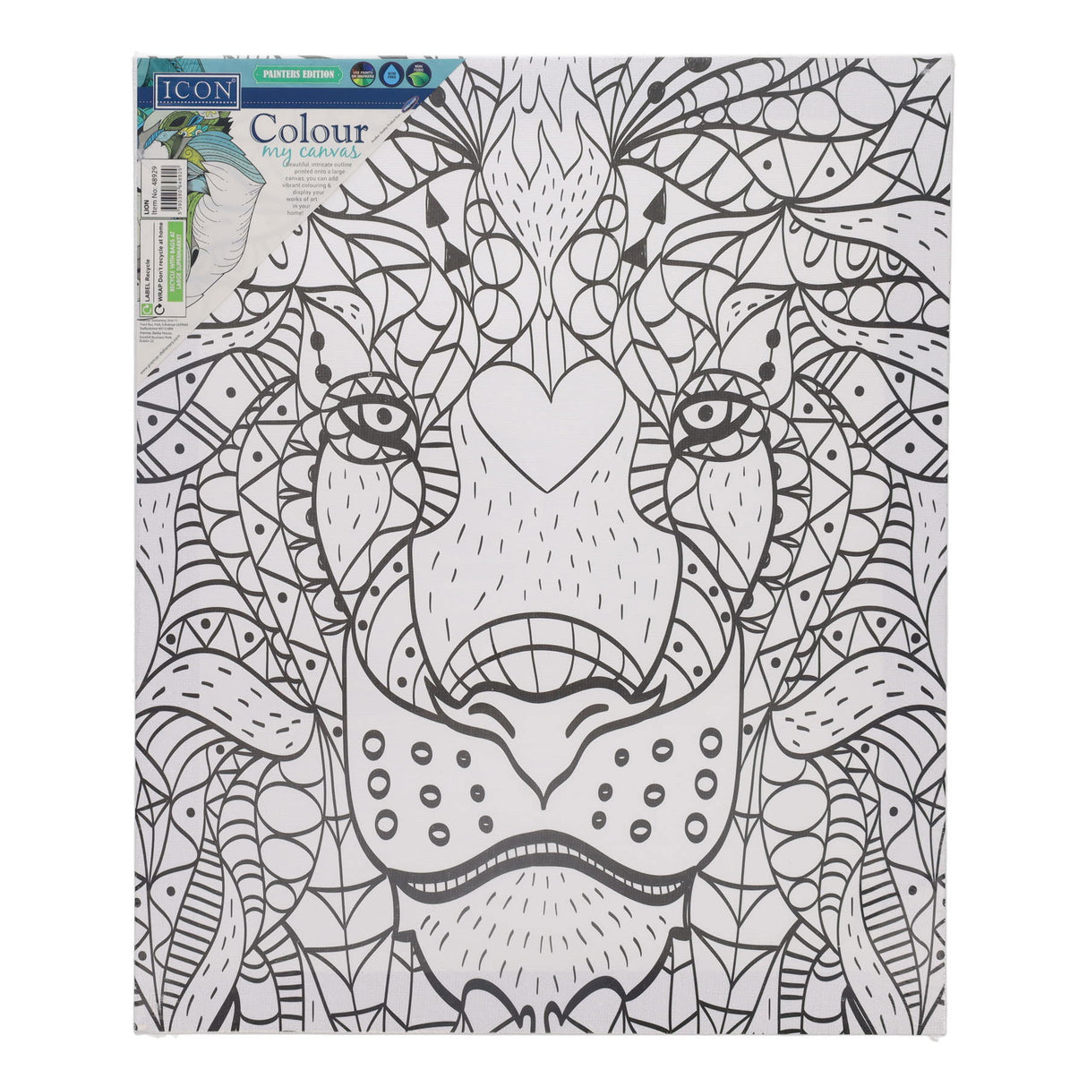 Icon Colour My Canvas - 250mm x 300mm - Lion