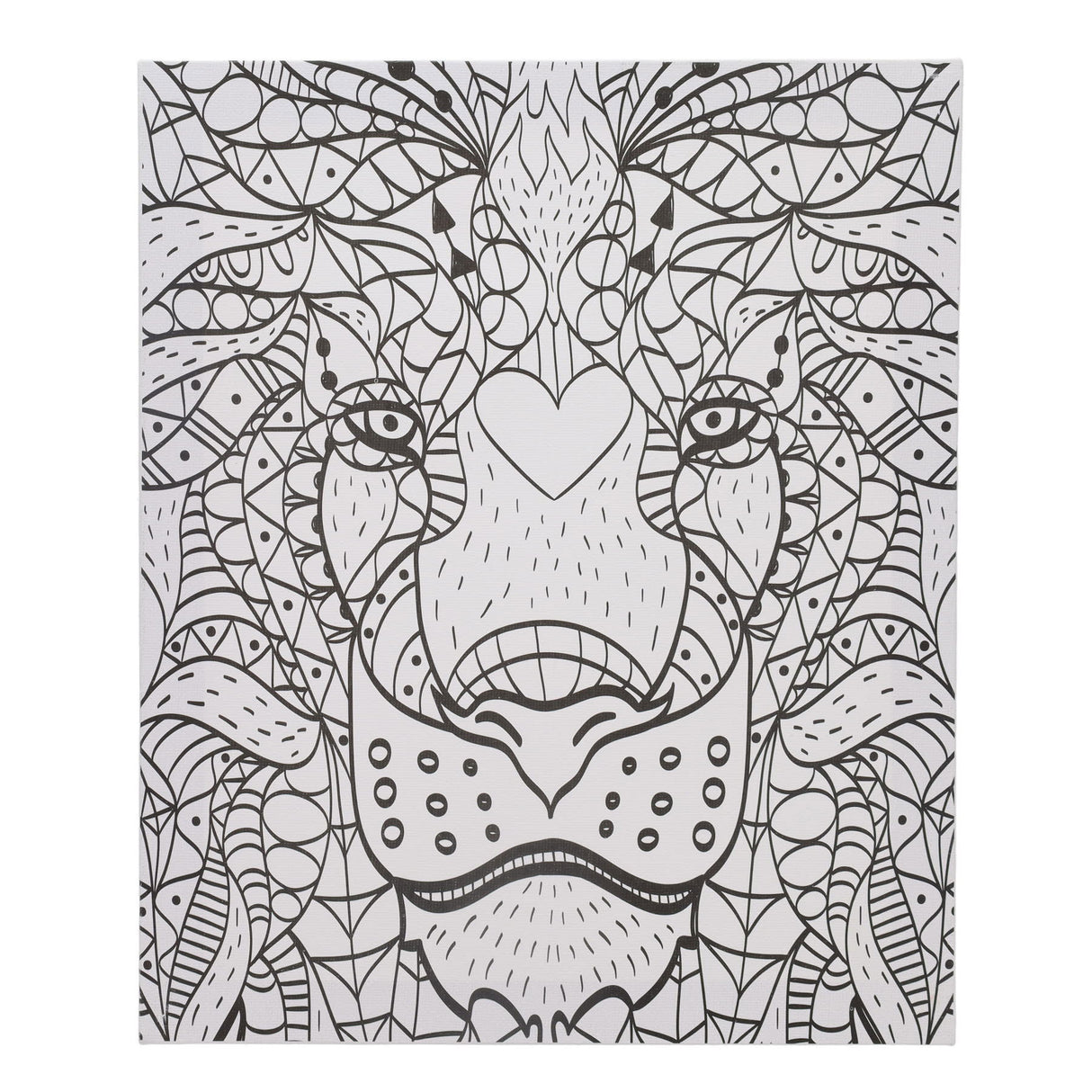 Icon Colour My Canvas - 250mm x 300mm - Lion