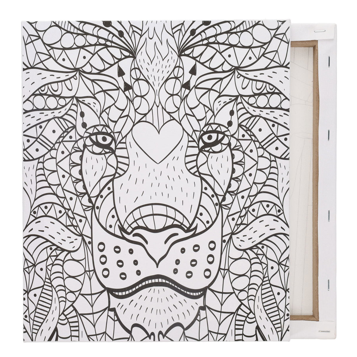 Icon Colour My Canvas - 250mm x 300mm - Lion