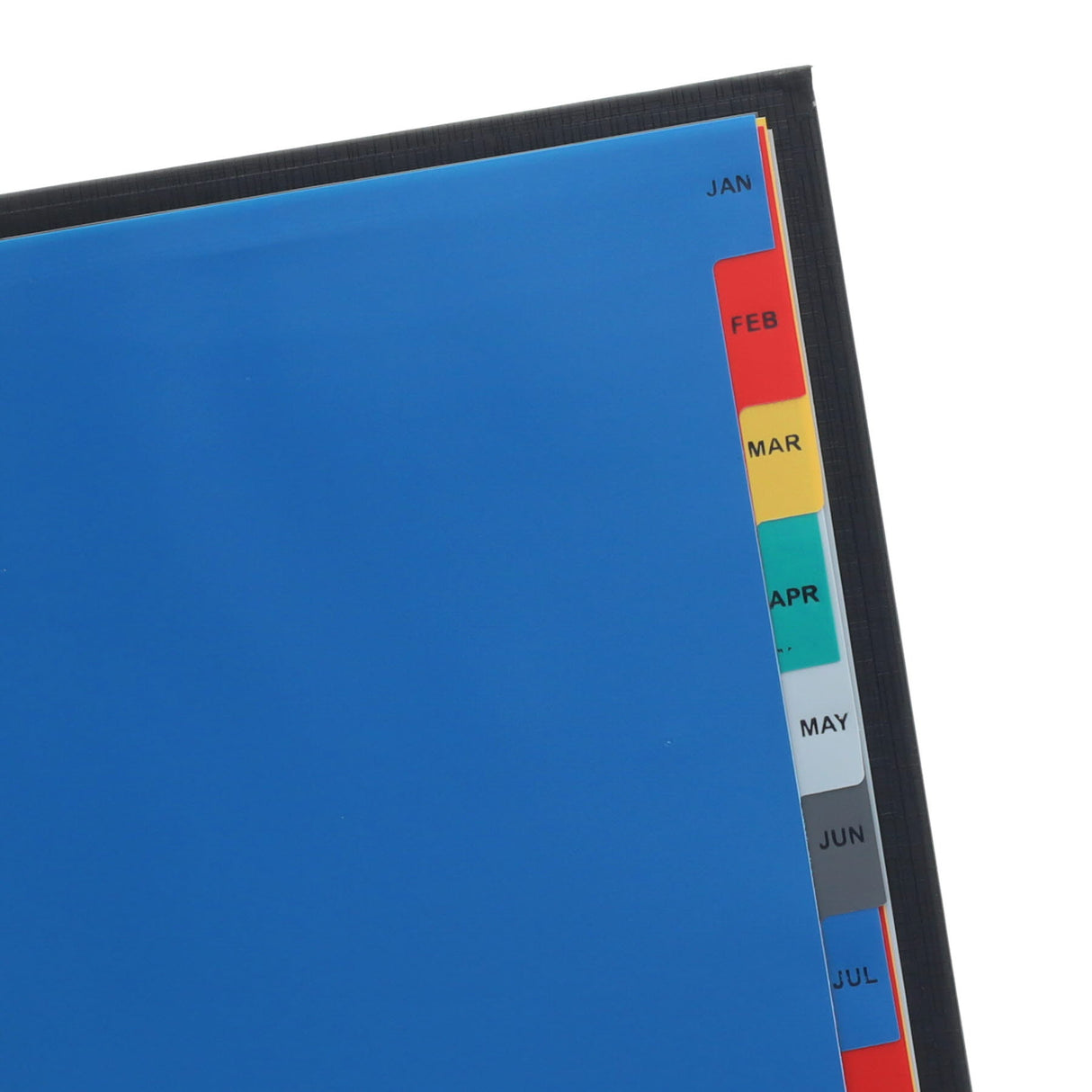 Concept A4 Monthly Subject Dividers - 12 Tabs