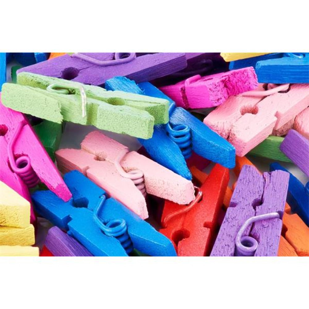 Icon Mini Pegs - Mixed Colours - Pack of 50-Crafting Materials-Icon|StationeryShop.co.uk