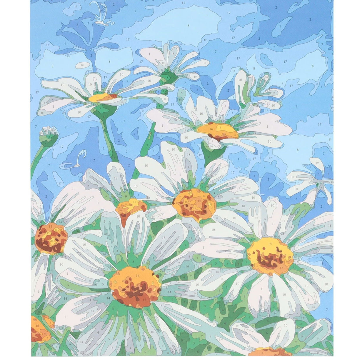Icon Paint By Numbers Canvas - 300x250mm - Daisy Meadow-Colour-in Canvas-Icon|StationeryShop.co.uk