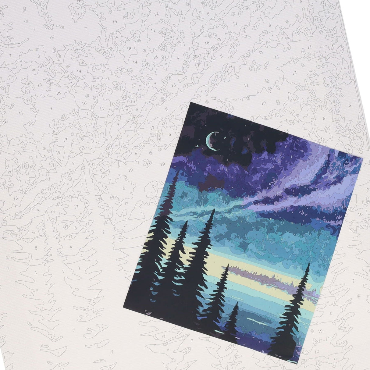 Icon Paint By Numbers Canvas - 300x250mm - Night Forest-Colour-in Canvas-Icon|StationeryShop.co.uk