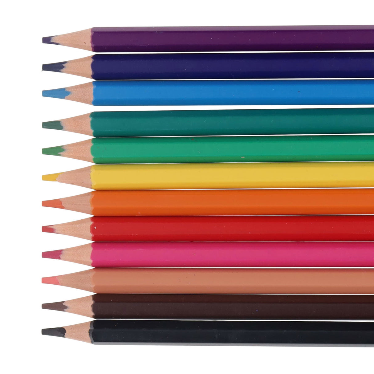 World of Colour Box of 12 Fully Erasable Colouring Pencils