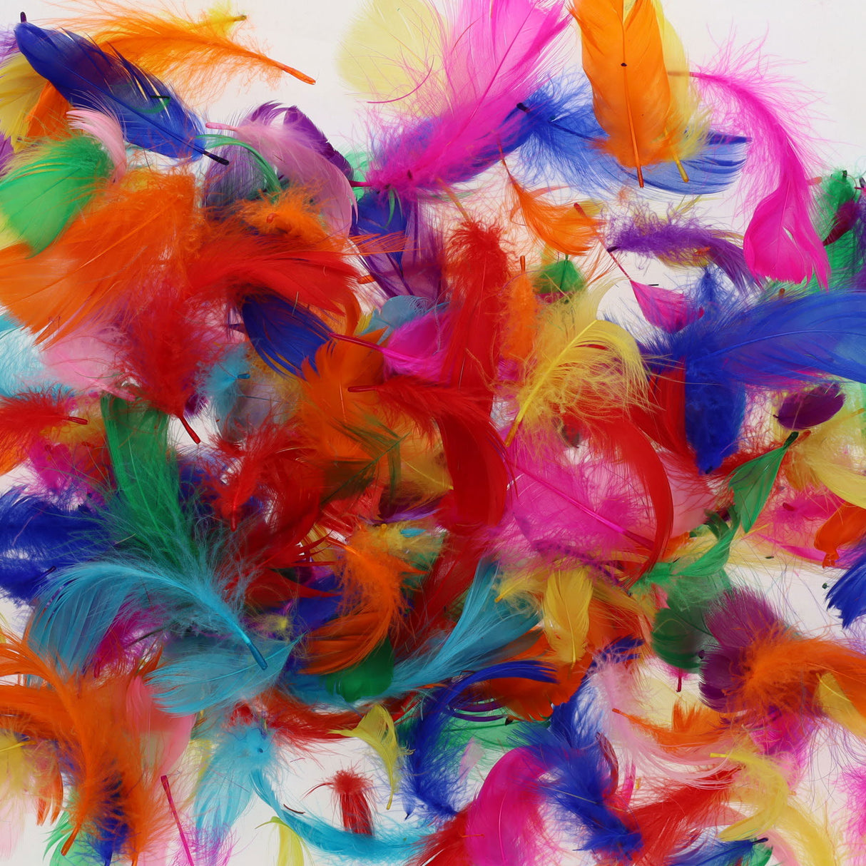 Crafty Bitz Exotic Feathers - 10g Bag