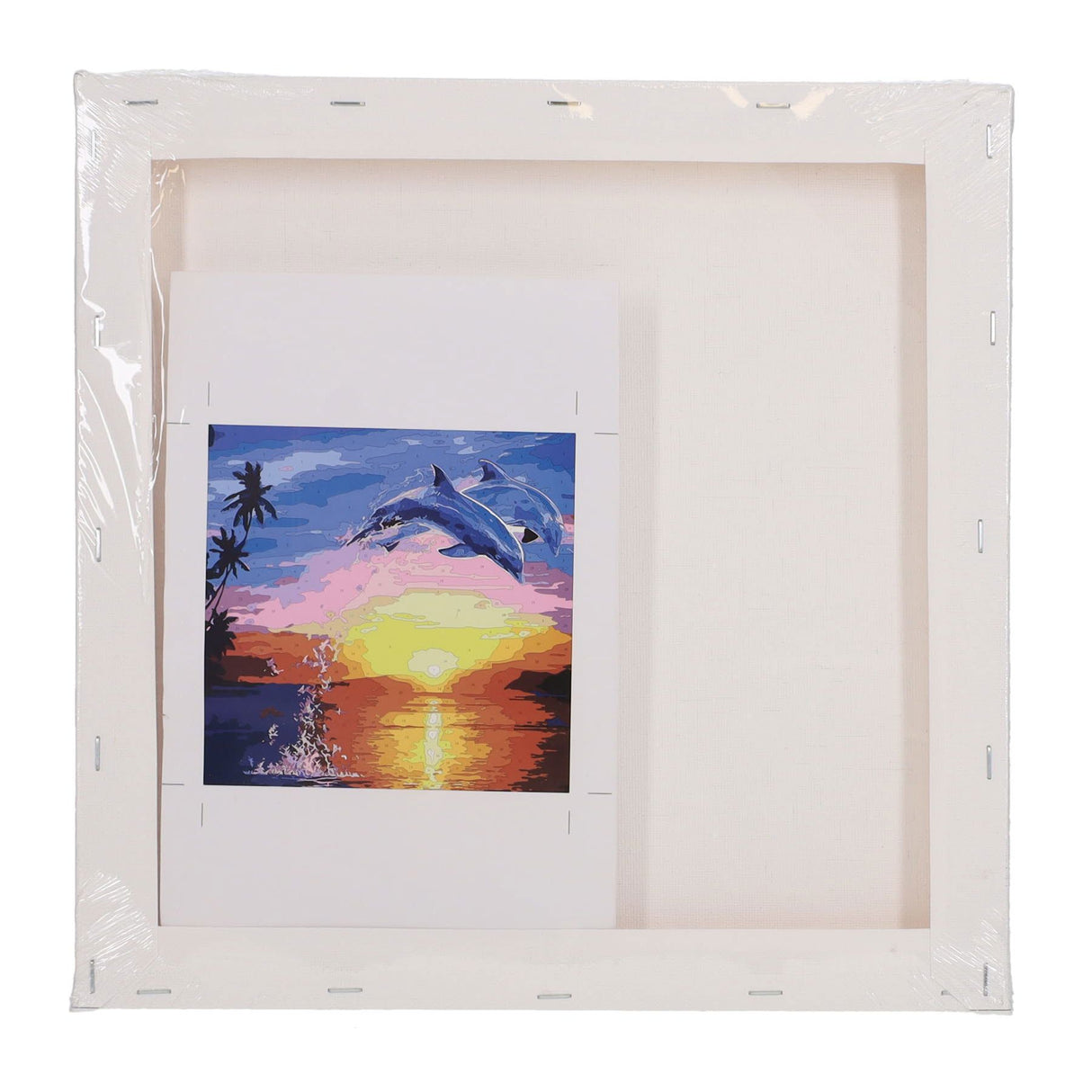 Icon Paint By Numbers Canvas - 300x300mm - Dolphin