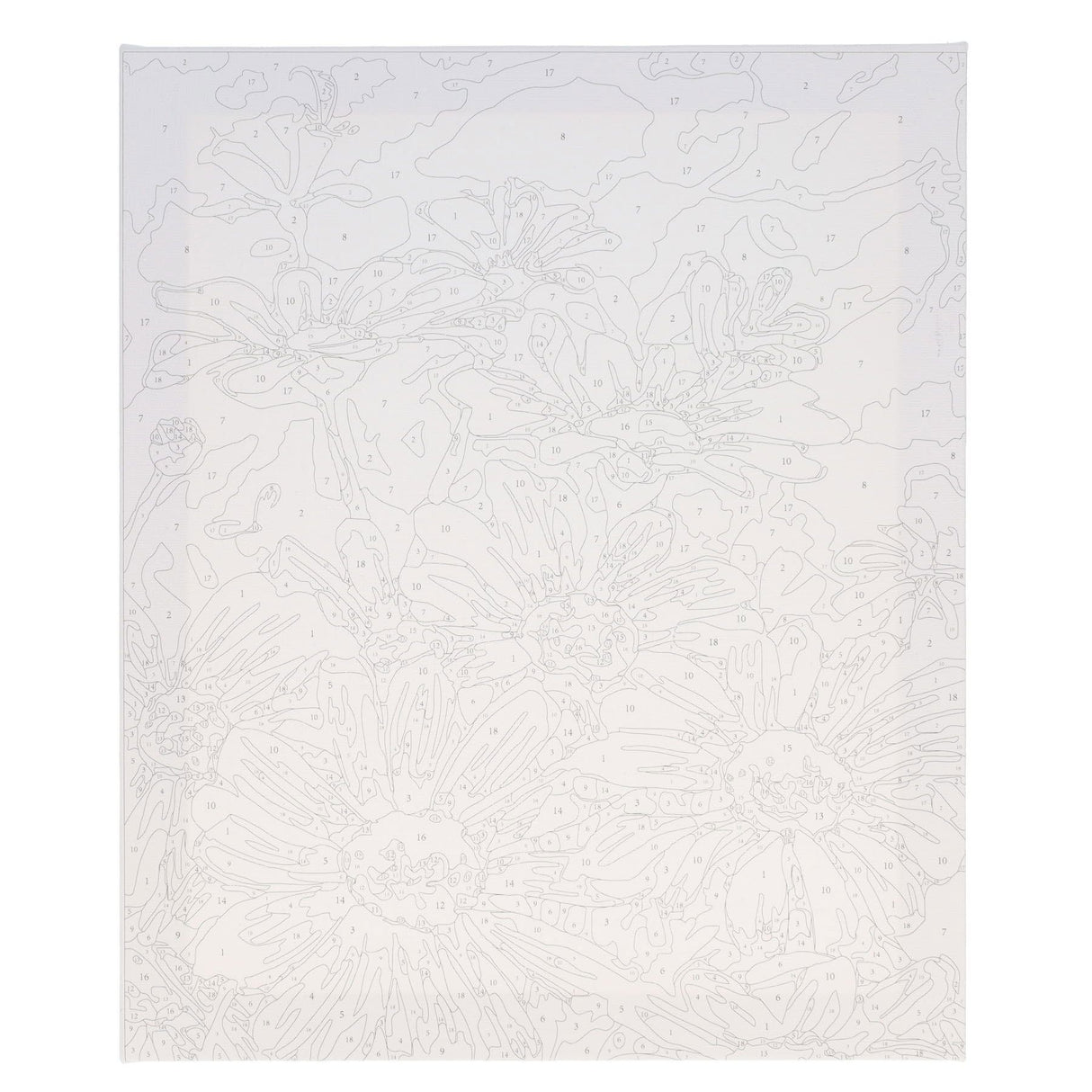 Icon Paint By Numbers Canvas - 300x250mm - Daisy Meadow