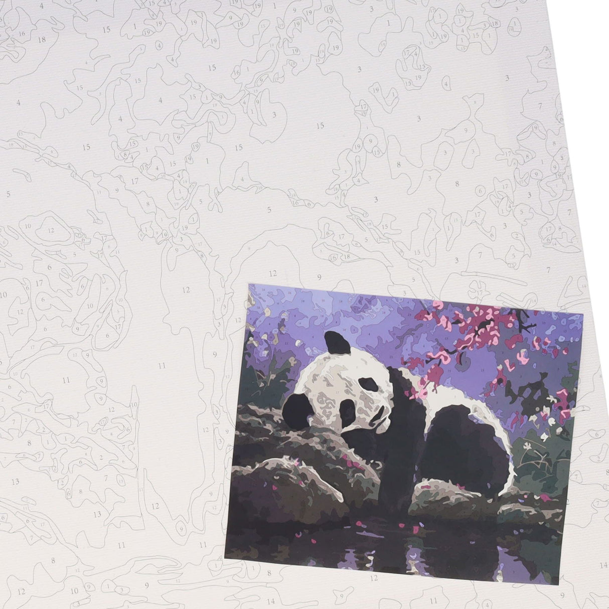 Icon Paint By Numbers Canvas - 300x250mm- Sleepy Panda