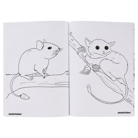 World of Colour A4 Perforated Colour Me Colouring Book - 48 Pages - Awesome Pets