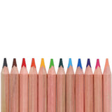 World of Colour Jumbo Triangle Easy Grip Colour Pencils - Pack of 12-Colouring Pencils-World of Colour|StationeryShop.co.uk