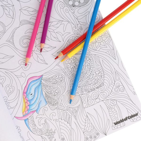 Colouring-Stationery Shop