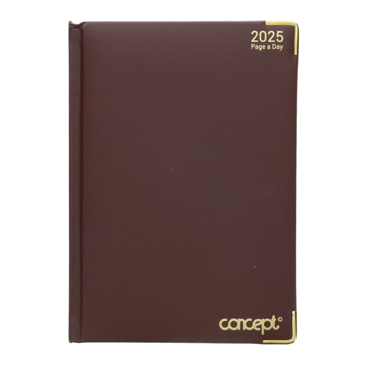 Concept A5 2025 Page A Day Diary - Brown