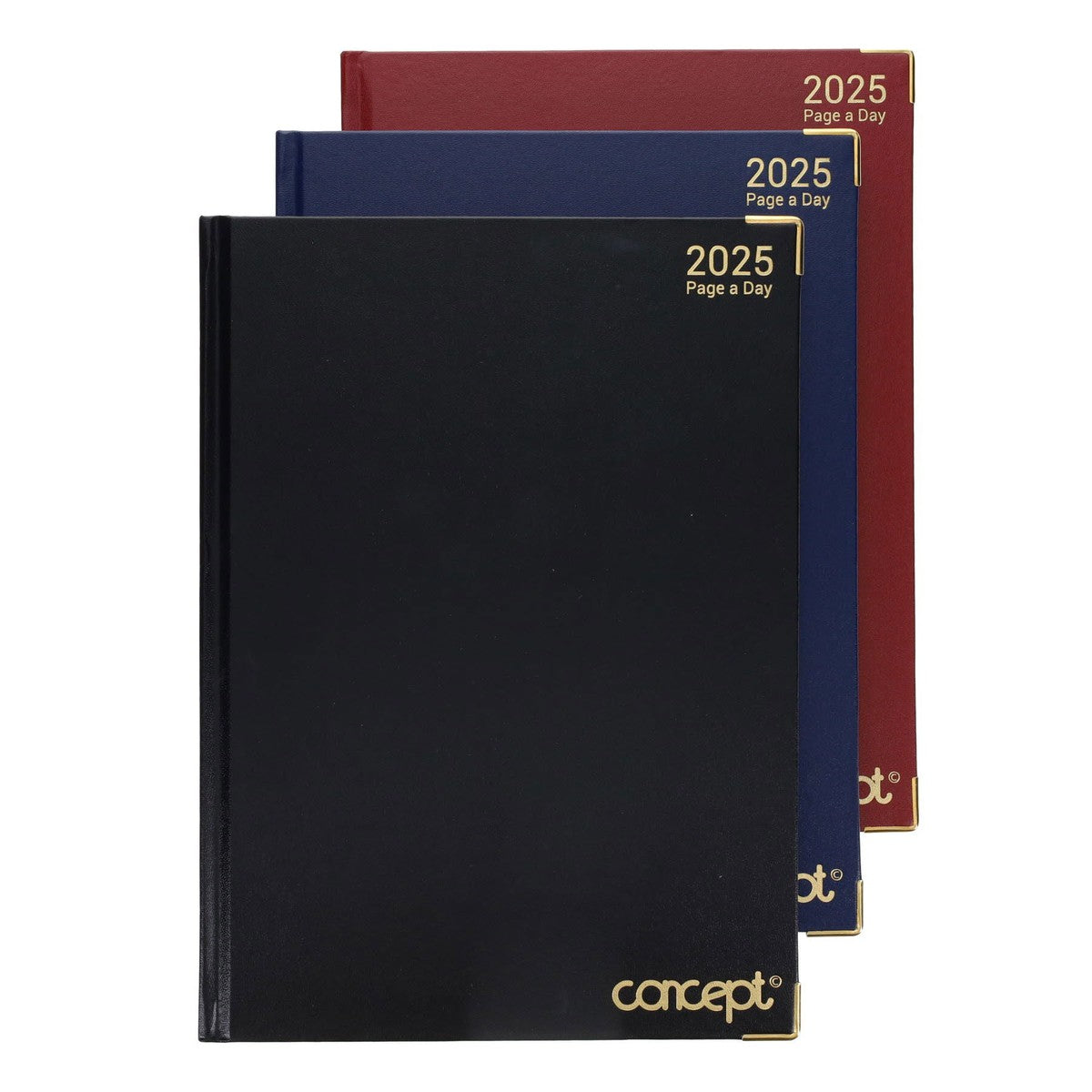 Concept 2025 A4 Diary Page A Day - Black