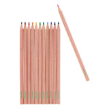 Concept Green Colouring Pencils - Pack of 12 | Stationery Shop UK