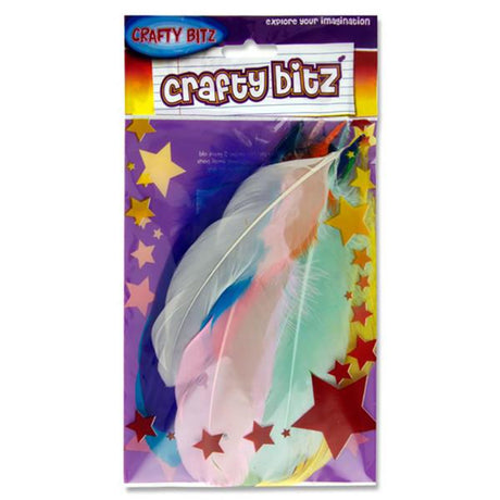 Crafty Bitz Feather Duck Quills - 10g Bag | Stationery Shop UK