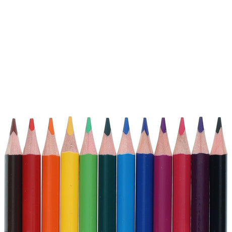 Icon Artists Studio Triangular Colouring Pencils - Pack of 12