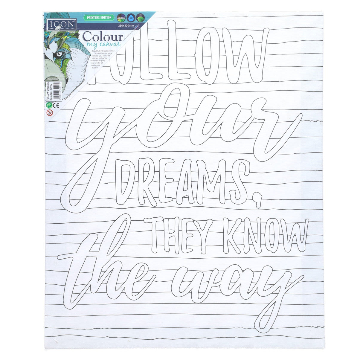 Icon Colour My Canvas - 250x300mm - Follow Dreams-Colour-in Canvas-Icon | Buy Online at Stationery Shop