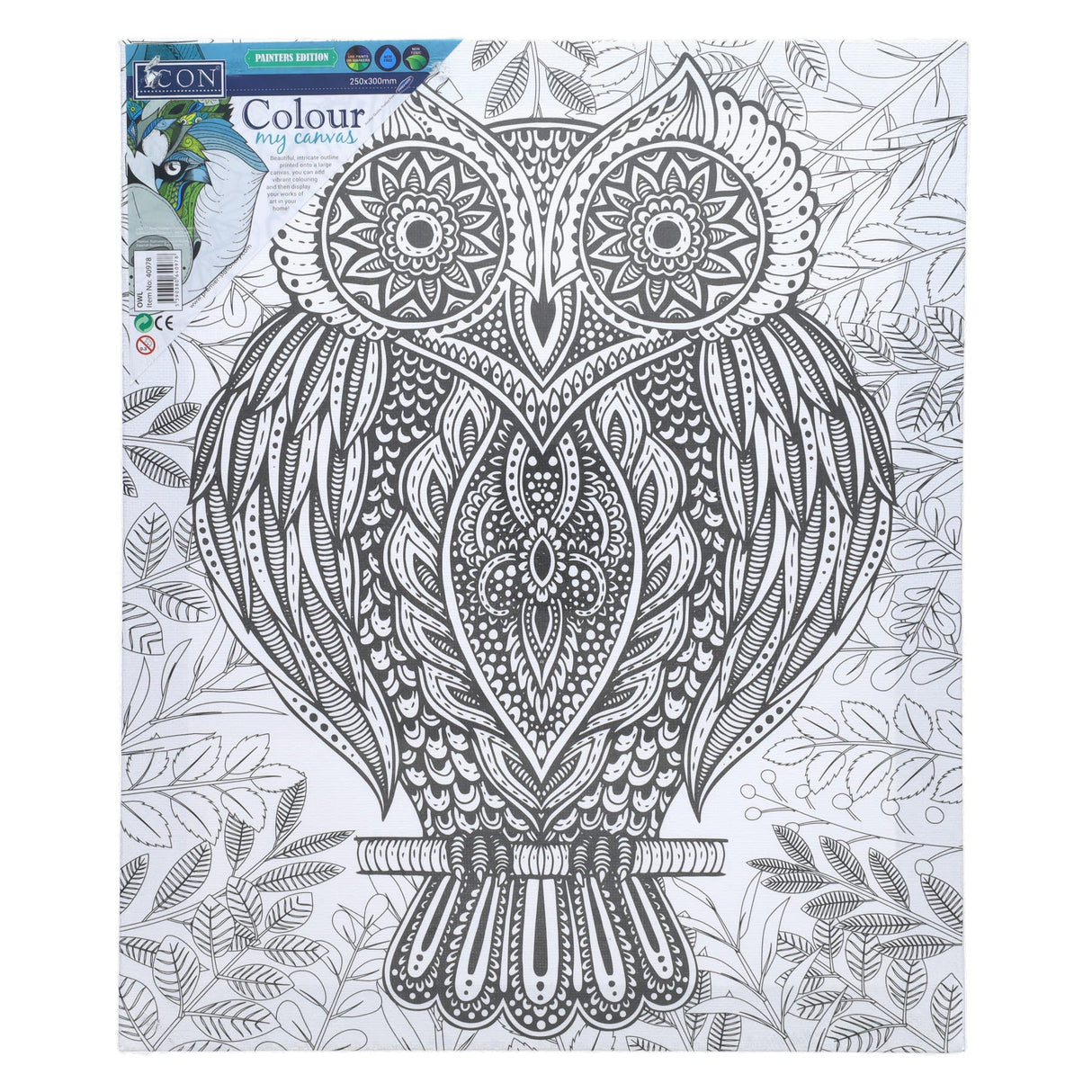 Icon Colour My Canvas - 250x300mm - Owl-Colour-in Canvas-Icon|StationeryShop.co.uk