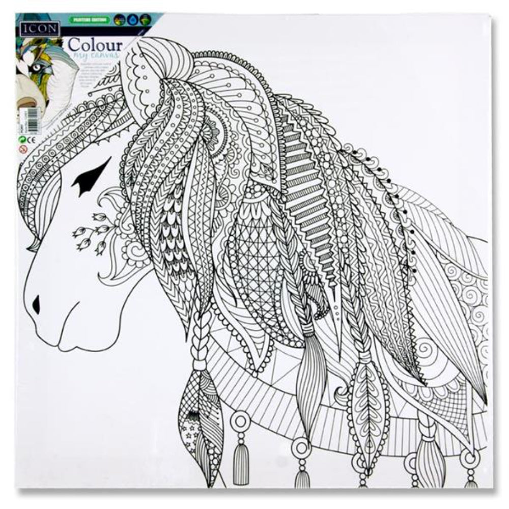 Icon Colour My Canvas 300X300mm - Pony-Colour-in Canvas-Icon | Buy Online at Stationery Shop