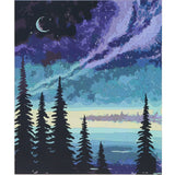 Icon Paint By Numbers Canvas - 300x250mm - Night Forest-Colour-in Canvas-Icon|StationeryShop.co.uk