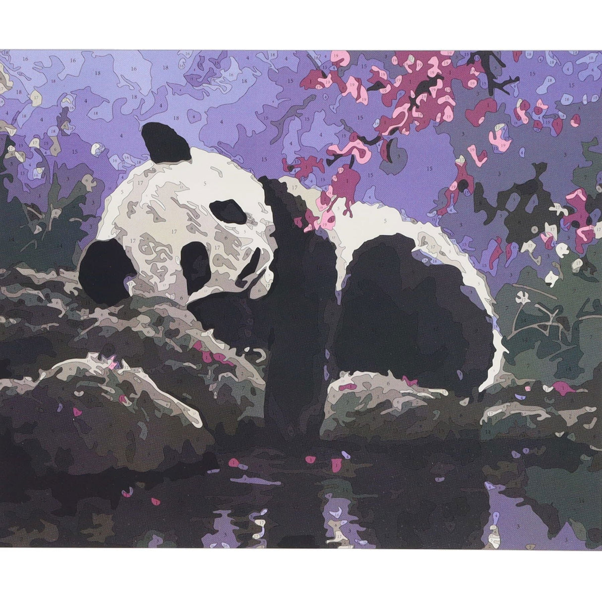 Icon Paint By Numbers Canvas - 300x250mm- Sleepy Panda | Stationery Shop UK