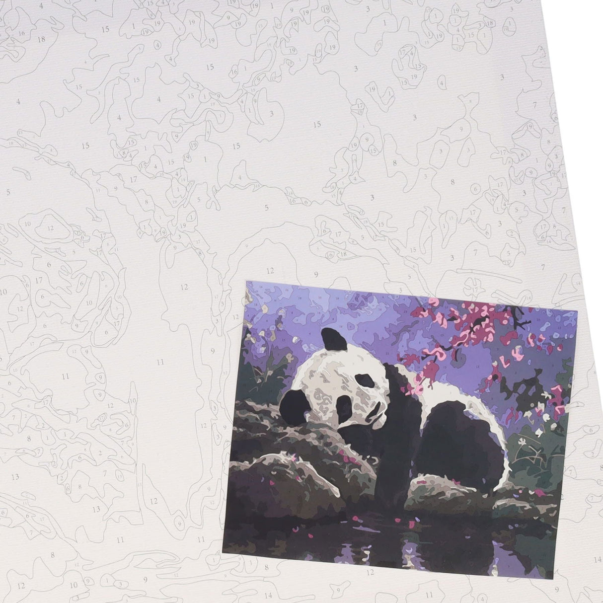 Icon Paint By Numbers Canvas - 300x250mm- Sleepy Panda-Colour-in Canvas-Icon|StationeryShop.co.uk
