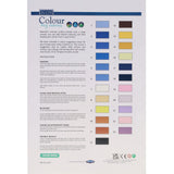 Icon Paint By Numbers Canvas - 300x300mm - Dolphin-Colour-in Canvas-Icon|StationeryShop.co.uk