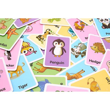 Ormond Quick Glance Flash Cards - Animal - 36 Cards