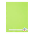 Premto A4 Manuscript Book - 120 Pages - Caterpillar Green