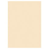 Premier Activity A3 Card - 160gsm - Ivory - 25 Sheets