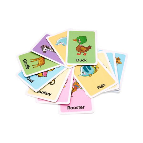 Ormond Quick Glance Flash Cards - Animal - 36 Cards