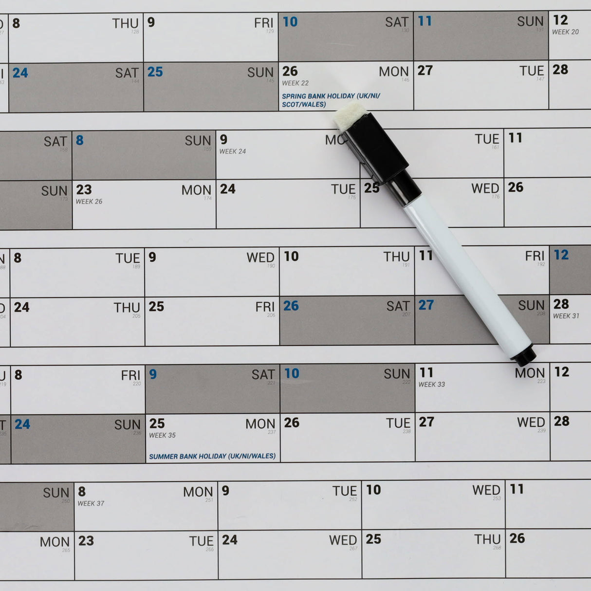 Concept 2025 Annual Wall Planner With Dry Wipe Marker - A1