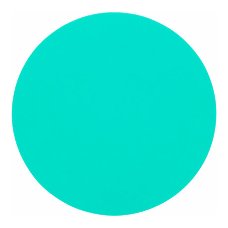 Crafty Bitz Foam Circles - Pack of 20