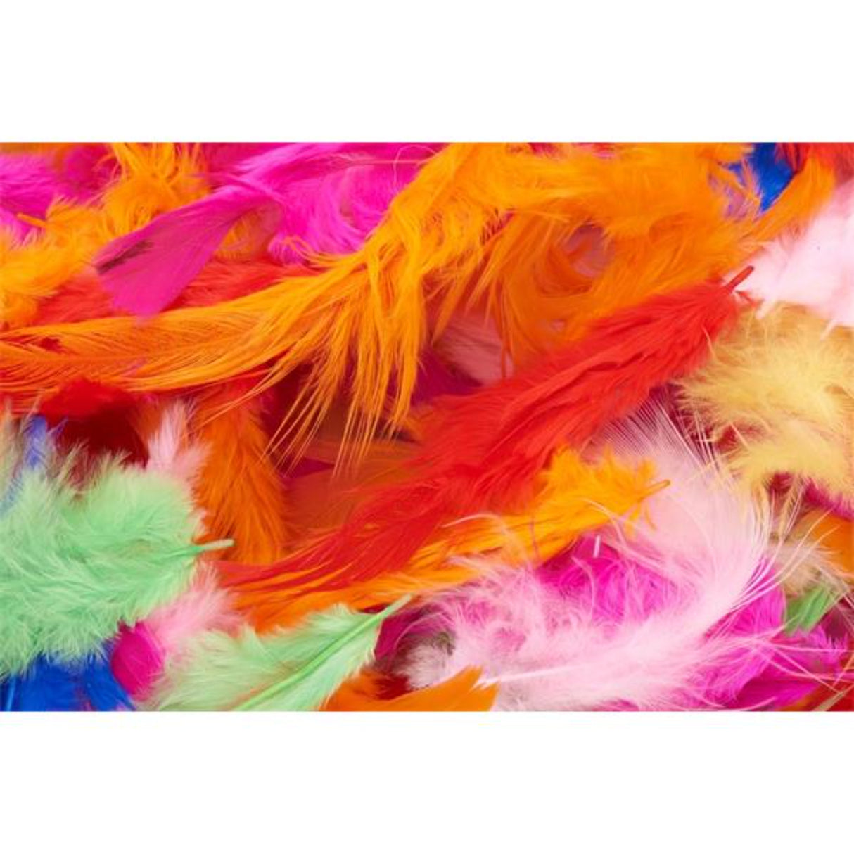 Icon Feathers - Bright - 7g Bag